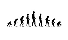 Definition of involution – What it is, Meaning and Concept