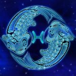 Pisces Definition - What it is, Meaning and Concept