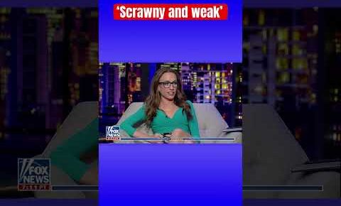 Unveiling the Age of Kat Timpf's Husband: A Surprising Revelation